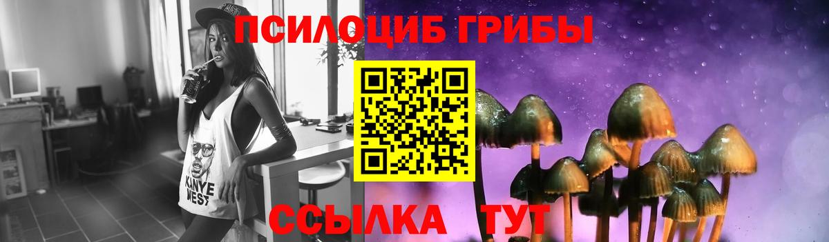 Вятские Поляны  Псилоцибиновые грибы мухоморы  Вход с VPN  Галлюциногенные грибы мицелий 